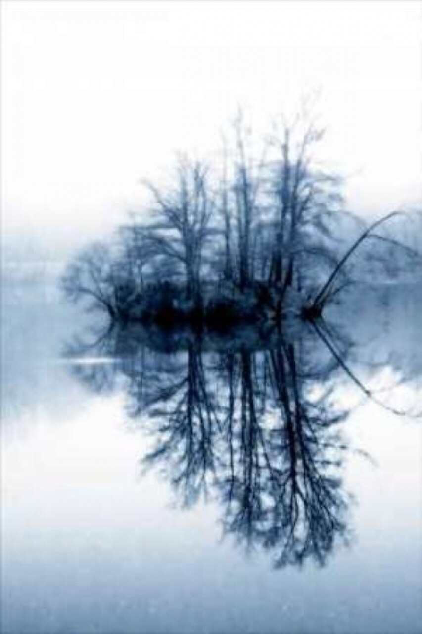 Fog on the Lake II Poster Print by Alan Hausenflock - Item # VARPDXPSHSF266